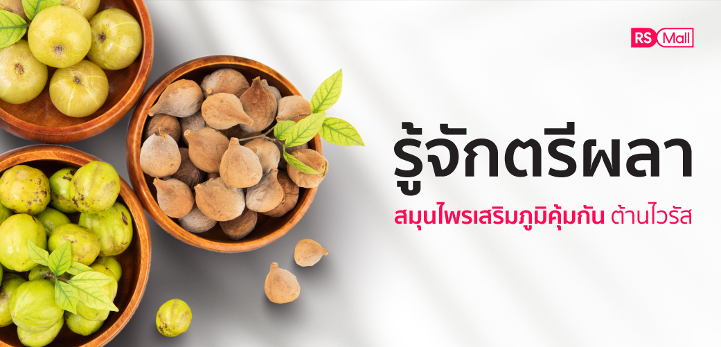 ทำความรู้จัก ตรีผลา สมุนไพรเสริมภูมิคุ้มกัน ต้านไวรัส