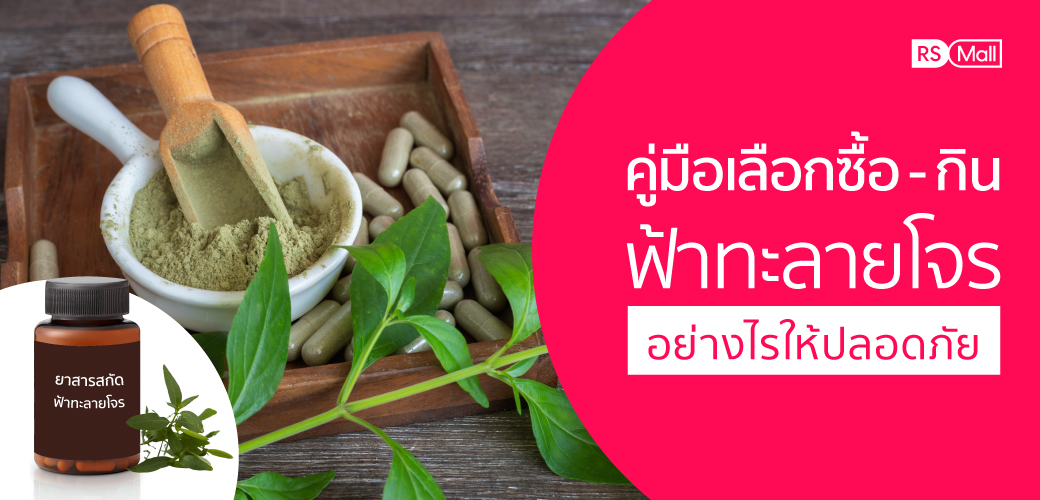 คู่มือเลือกซื้อ - กิน ฟ้าทะลายโจร อย่างไร ให้ปลอดภัย