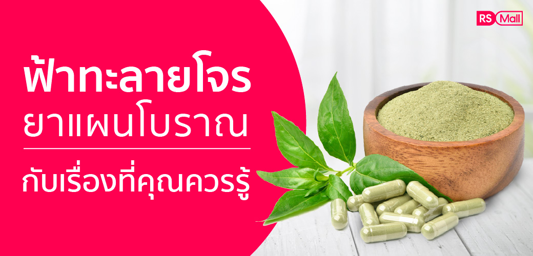 ฟ้าทะลายโจร ยาแผนโบราณ ประเภทยาสามัญประจำบ้าน กับเรื่องที่คุณควรรู้
