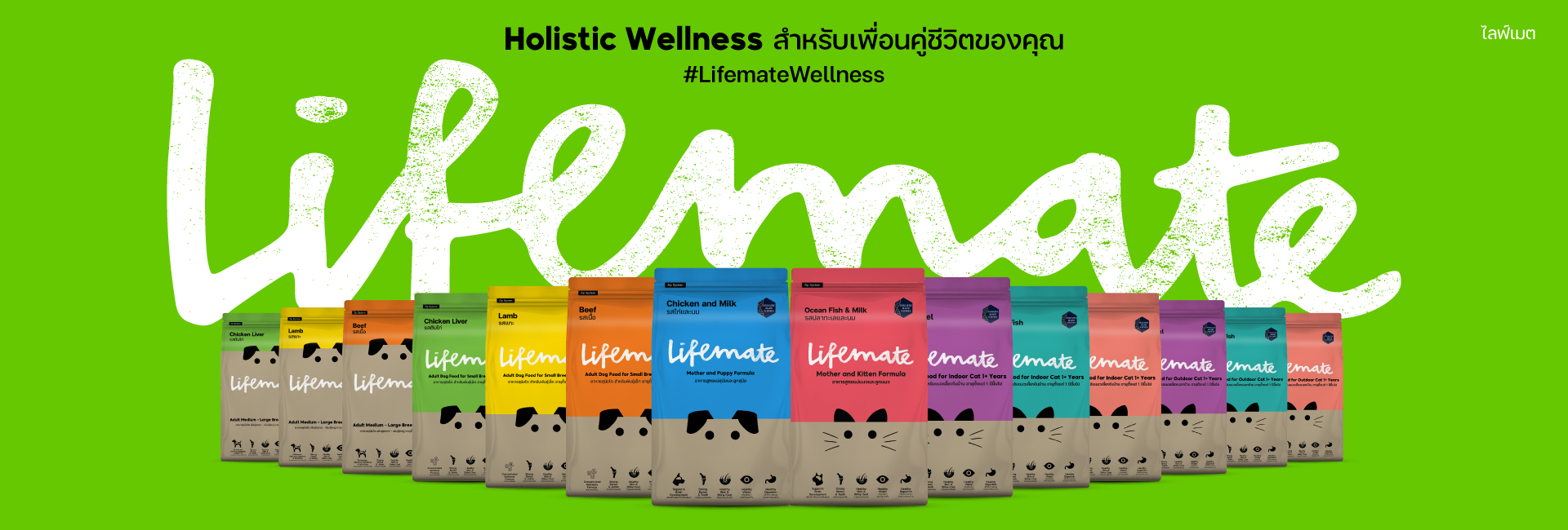 LIFEMATE