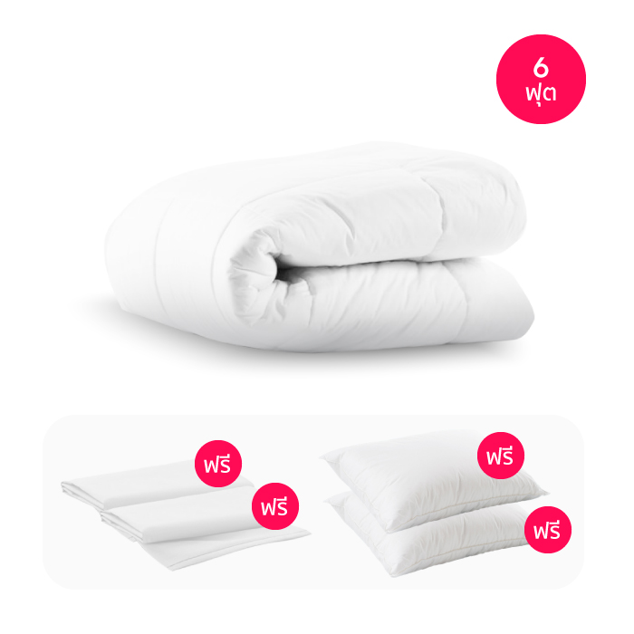 ไส้ผ้านวม Sleep Happy ผ้านวมไมโครไฟเบอร์ พร้อม ปลอกผ้านวม (คอตตอน 100% 300 เส้นด้าย) (6 ฟุต)