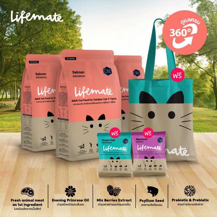 Lifemate (ไลฟ์เมต) อาหารแมว รสปลาแซลมอน อาหารแมวเลี้ยงนอกบ้าน (สำหรับแมวโต อายุ 1ปีขึ้นไป) โปรโมชั่น ฟรี อาหารแมวถุงเล็ก 2 ถุง ถุงผ้า 1 ใบ