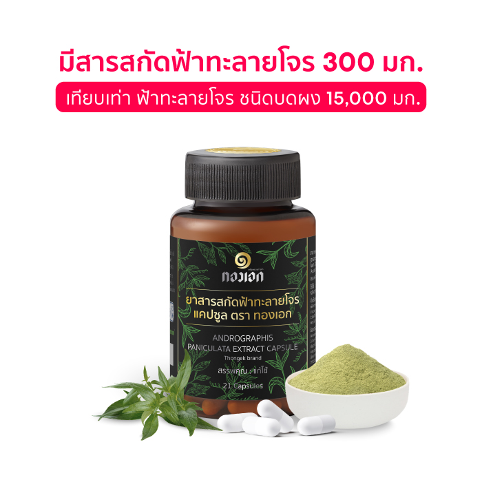 ยาสารสกัดฟ้าทะลายโจร แคปซูล ตราทองเอก ยาสามัญประจำบ้านแผนโบราณ