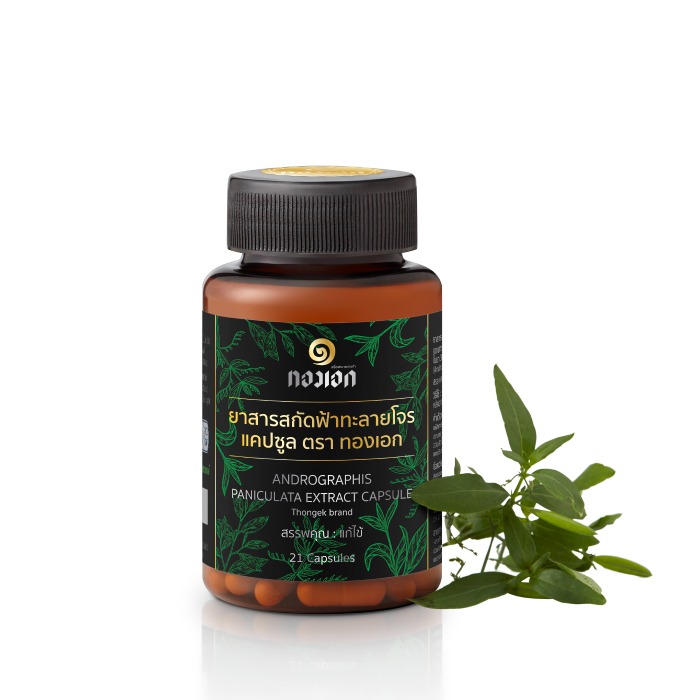 ยาสารสกัดฟ้าทะลายโจร แคปซูล ตราทองเอก ยาสามัญประจำบ้านแผนโบราณ