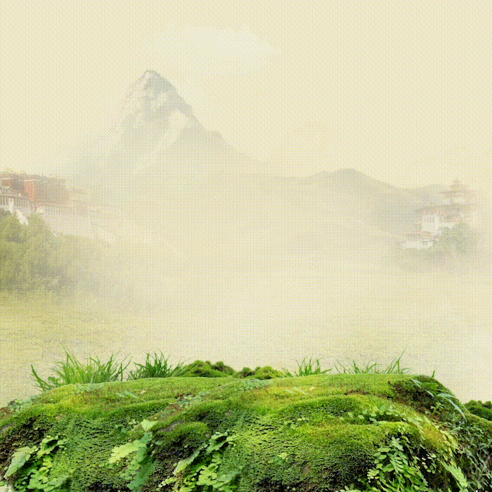 ถั่งเช่า เอสโอเอ็ม คอร์ดี้ ทิเบต แอนด์ ภูฎาน (S.O.M. Cordy Tibet Bhutan) (แบบกล่อง BOX SET)