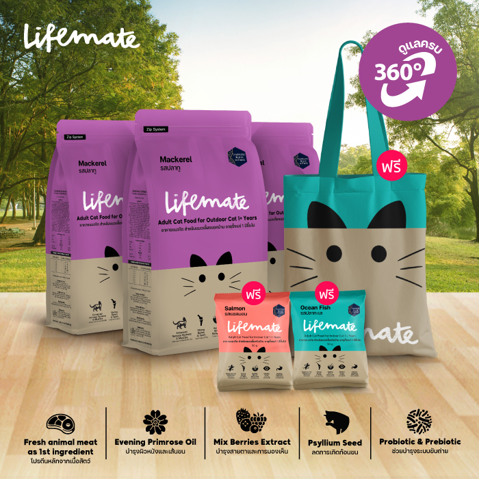 Lifemate (ไลฟ์เมต) อาหารแมว รสปลาทู อาหารแมวเลี้ยงนอกบ้าน (สำหรับแมวโต อายุ 1ปีขึ้นไป) ฟรีถุงผ้าไลฟ์เมต และอาหารแมวถุงเล็ก 2 ถุง