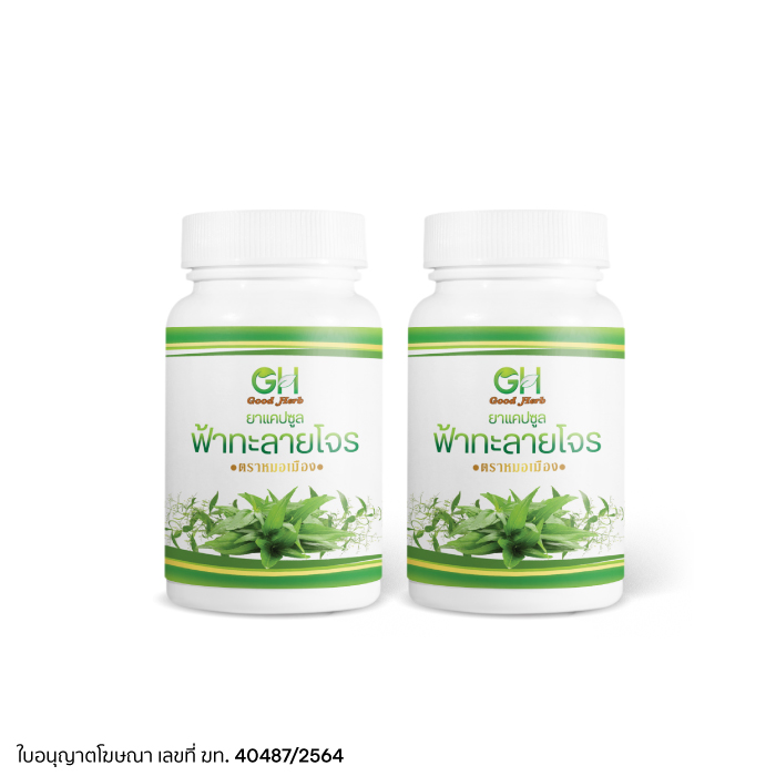 GOOD HERB ยาแคปซูลฟ้าทะลายโจร ยาสามัญประจำบ้านแผนโบราณ ตราหมอเมือง