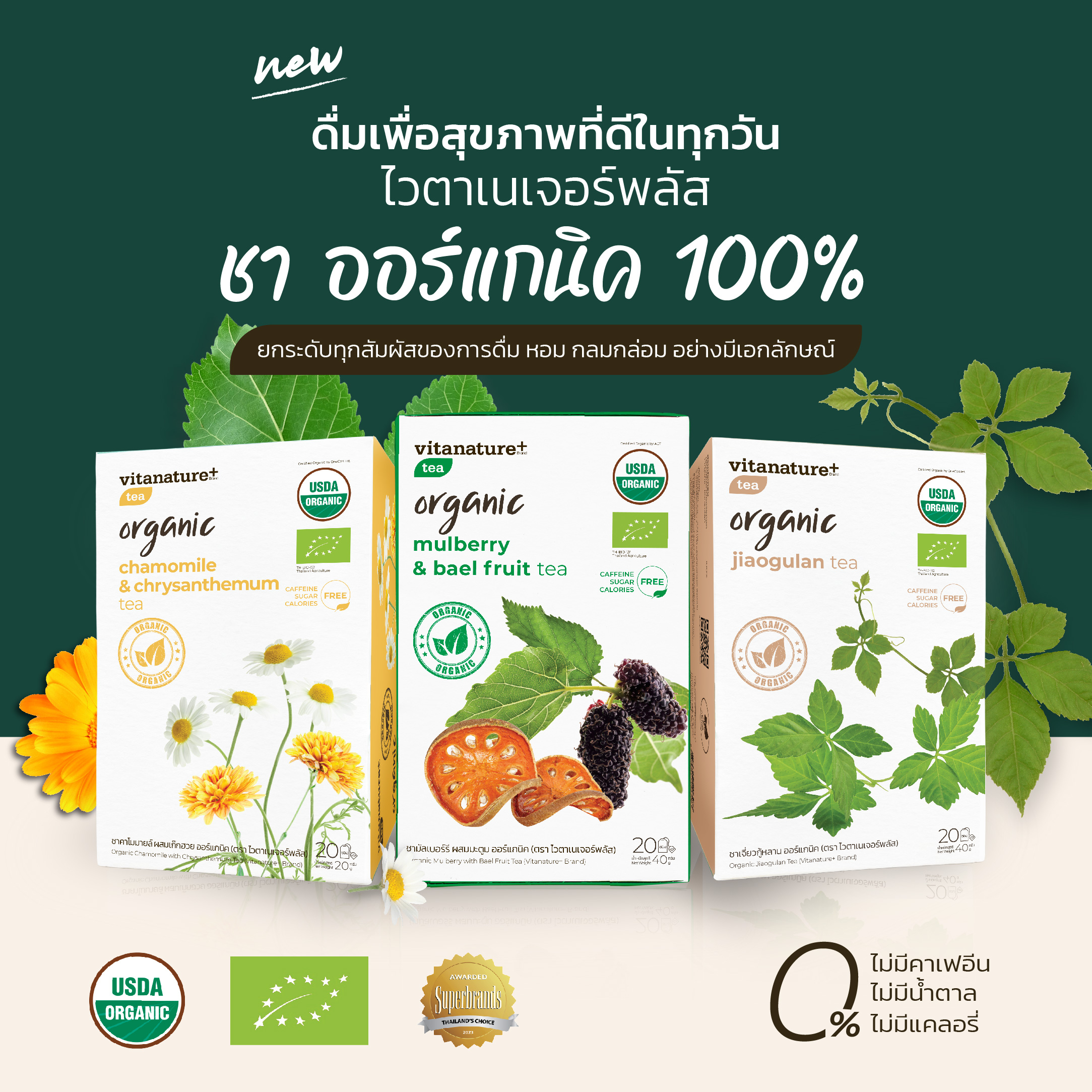 ไวตาเนเจอร์พลัส (Vitanature+) ชามัลเบอร์รี่ ชาสมุนไพรใบหม่อนผสมมะตูม  ออแกนิค100% ลดน้ำตาลในเลือด ลดไขมัน ลดความดัน ป้องกันเบาหวาน ต้านการอักเสบ  | Rs Mall